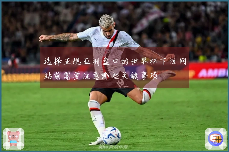 选择正规亚洲盘口的世界杯下注网站前需要注意哪些关键事项
