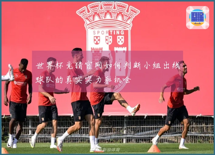 世界杯竞猜官网如何判断小组出线球队的真实实力和机会