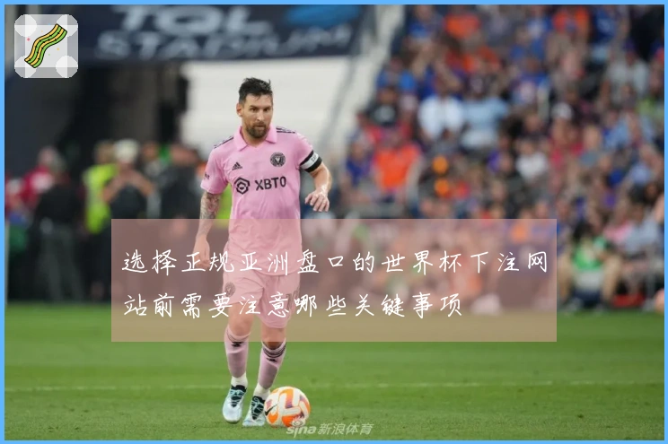 选择正规亚洲盘口的世界杯下注网站前需要注意哪些关键事项