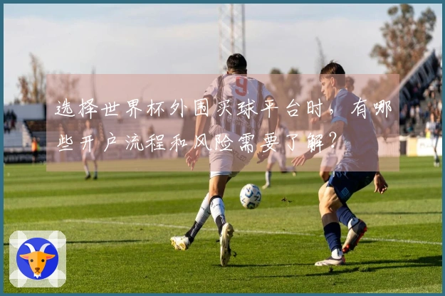 选择世界杯外围买球平台时，有哪些开户流程和风险需要了解？